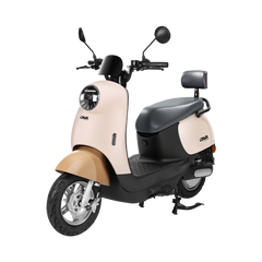 C10 Autopropelido Elétrica 1000W sem CNH e NFC Antifurto