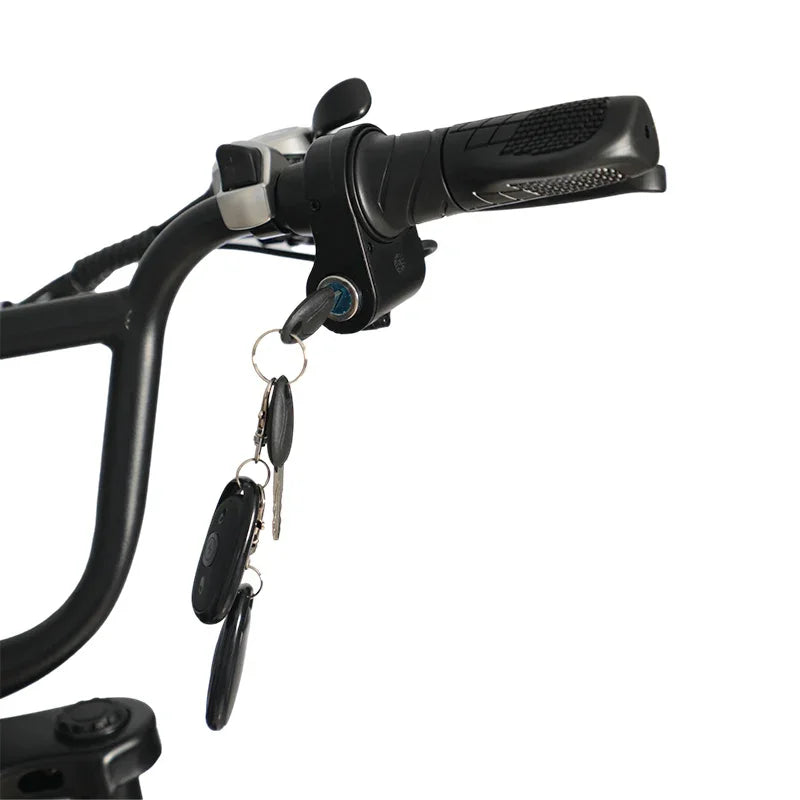 AE6 Bicicleta Elétrica Bateria De Lítio - Cavalletta