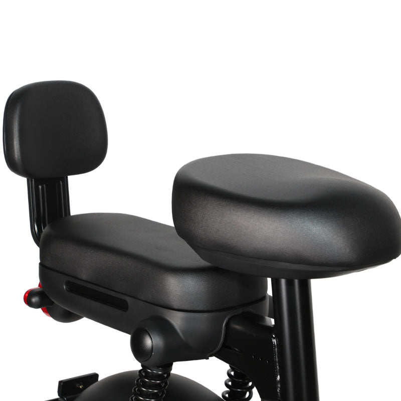 C3 Bicicleta Elétrica Bateria 48V 800W